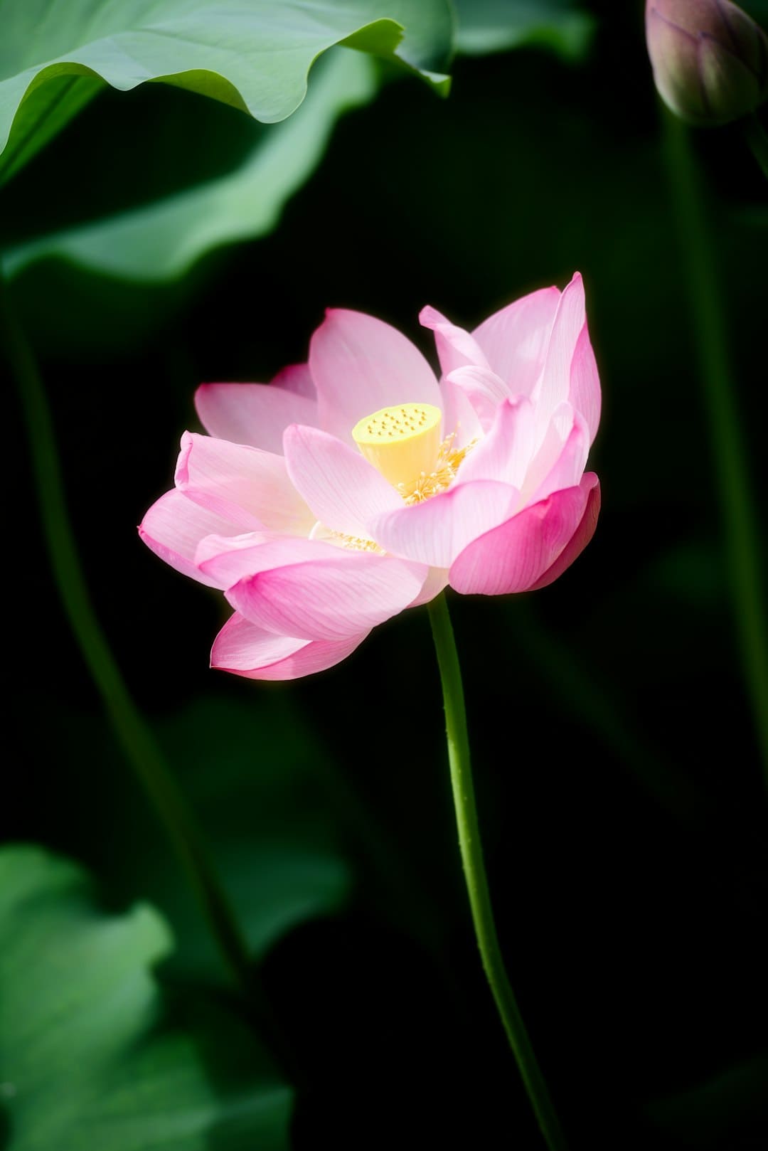各环节安排有序、转承紧凑、运转顺利，九三阅兵最终一次归纳演练完结